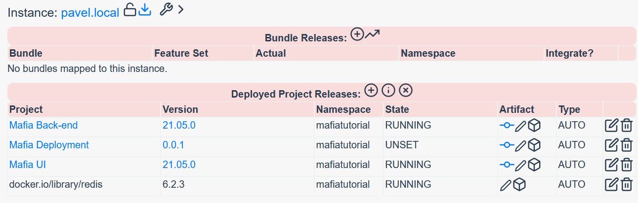 Deployed Docker Images on Instance in Reliza Hub